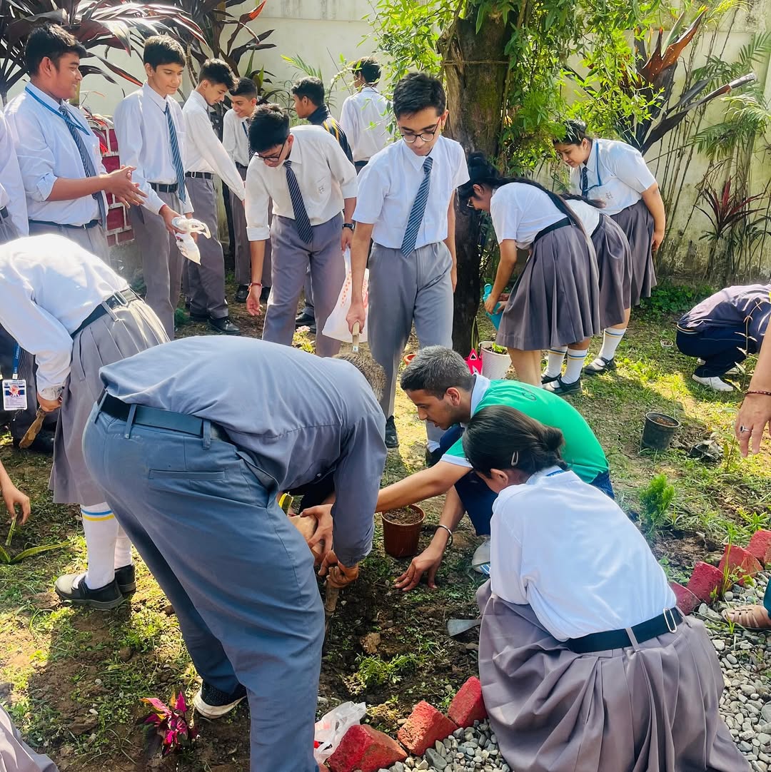 SEE Learning at Cambrian Hall